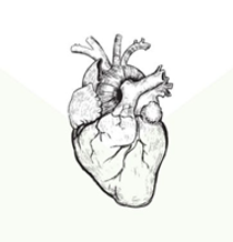 Intestin (digestive guide)